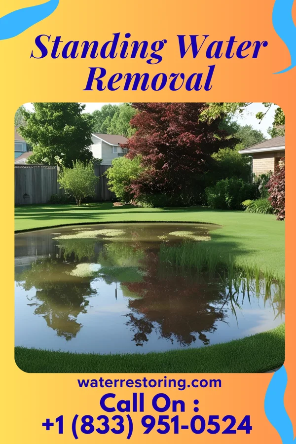 Standing Water Removal in Darien Downtown, CT